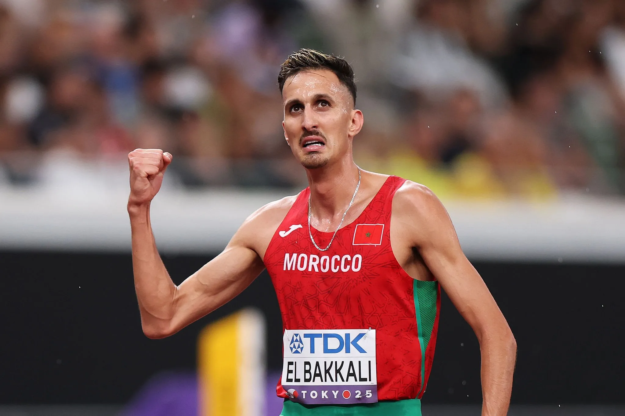 مهام قطاع الرياضة