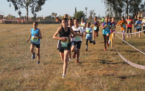 sport scolaire