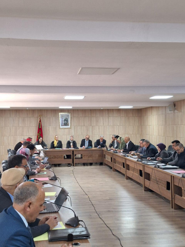 التربية الدامجة